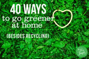 Tips to Go Green At Home Article