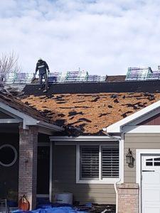 Phase one of Longmont Roofing and Construction Project Contractor removing old roofing material